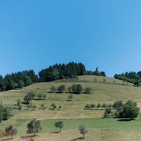 Moderne 2 Zi.-Fewo Blackforest Art Barrierefrei Naehe Freiburg Simonswald Eksteriør billede