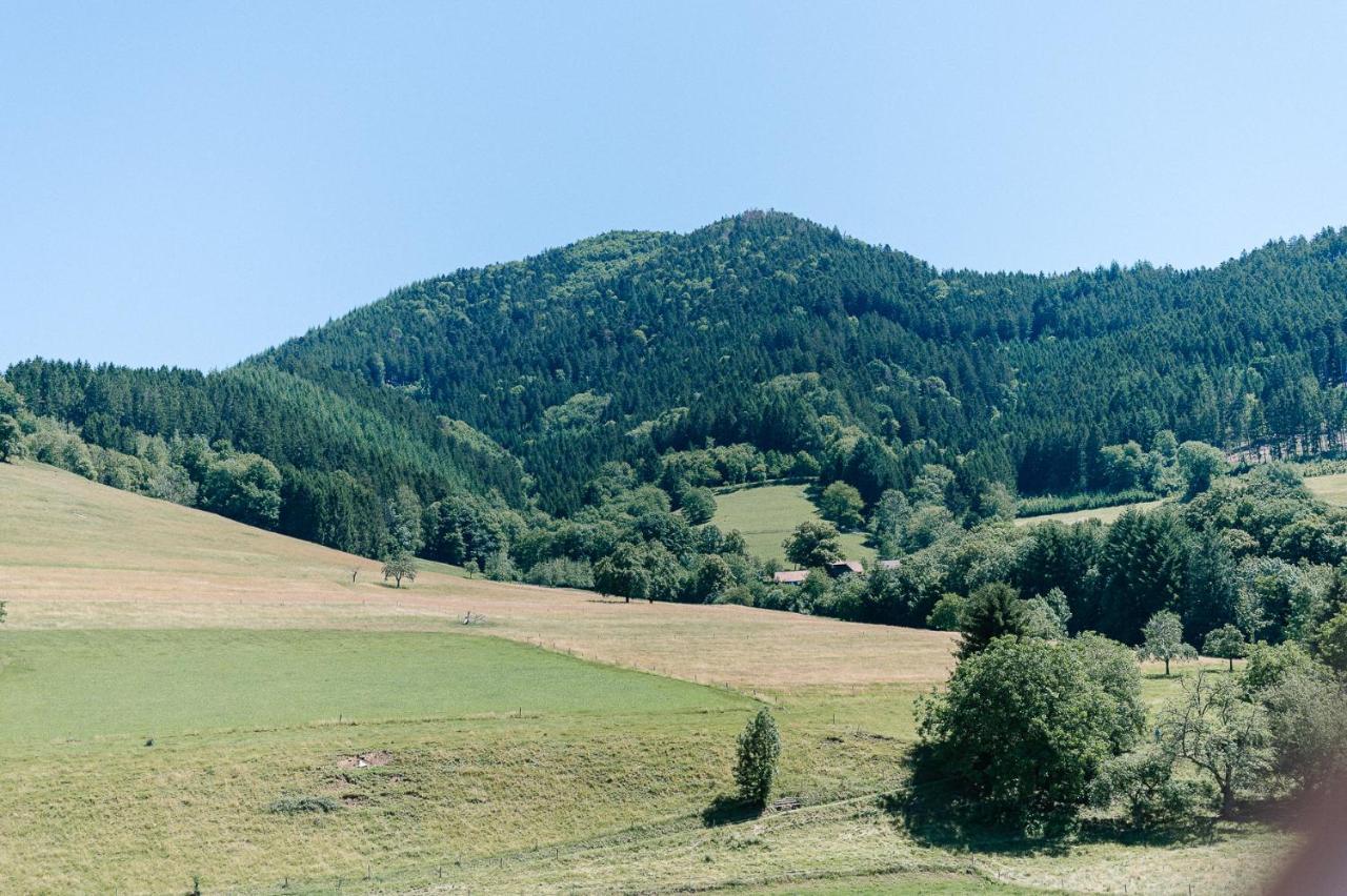 Moderne 2 Zi.-Fewo Blackforest Art Barrierefrei Naehe Freiburg Simonswald Eksteriør billede